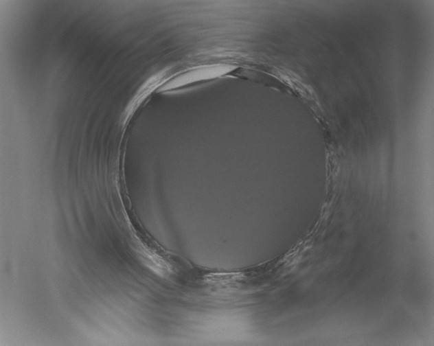 X0000051260051200507082227