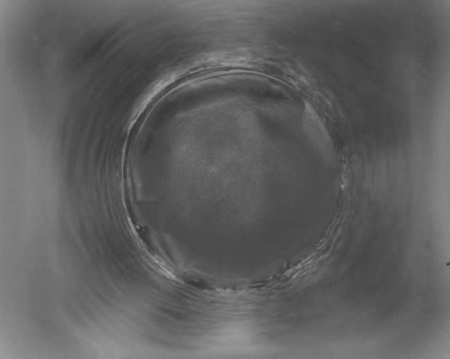 X0000051260052200507082227
