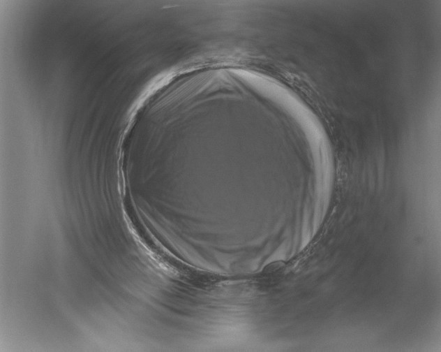 X0000051260054200507082227
