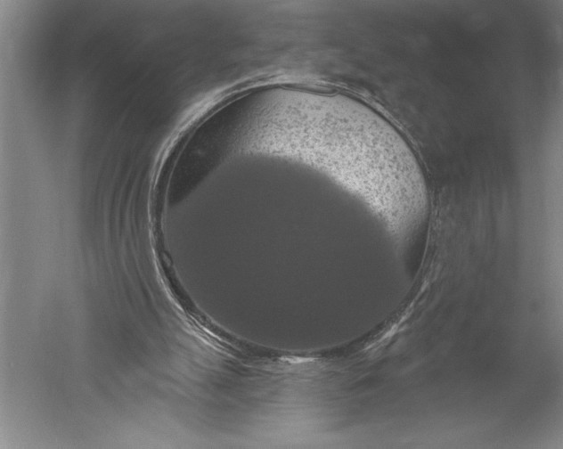 X0000051260055200507082227
