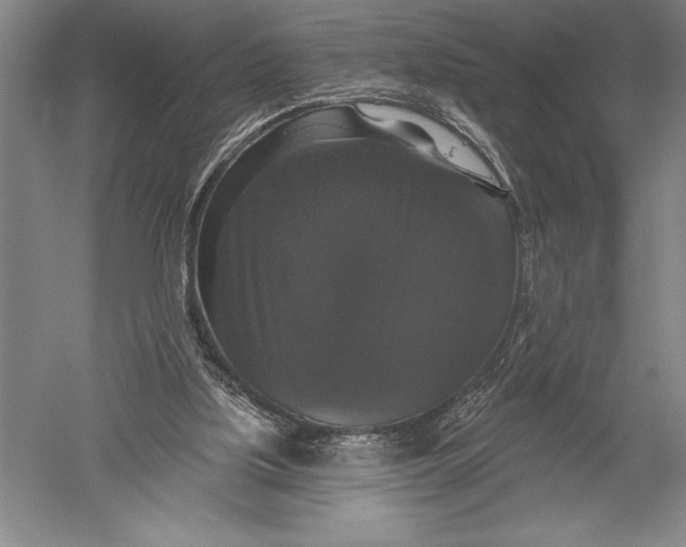 X0000051260059200507082228