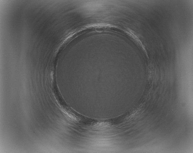 X0000051260063200507082228