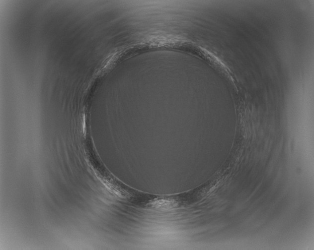 X0000051260067200507082228