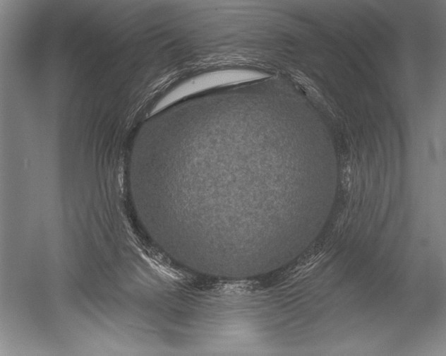 X0000051260072200507082228