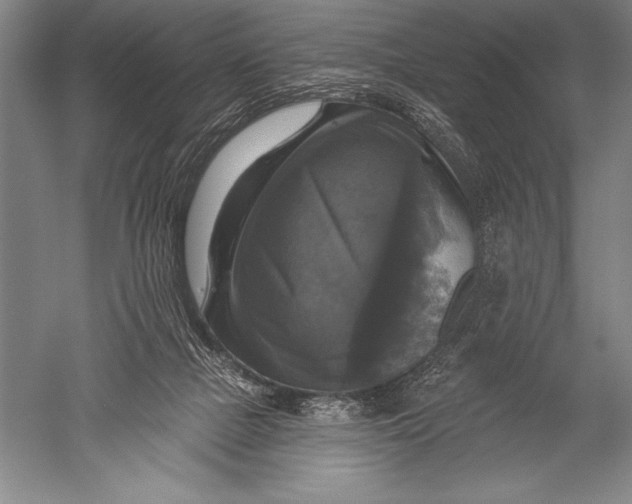 X0000051260073200507082228