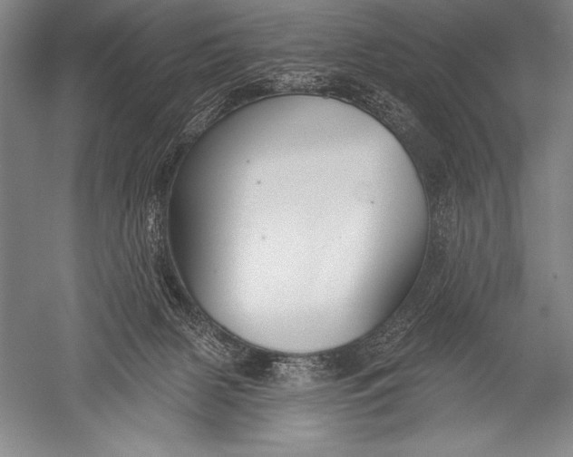 X0000051260079200507082228