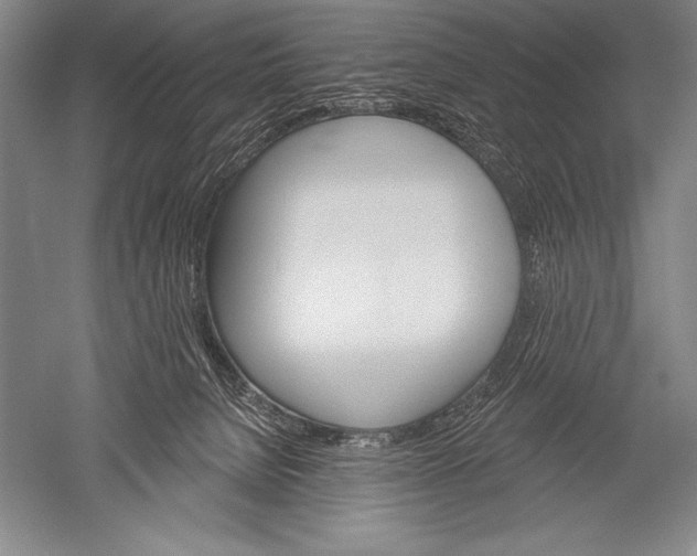 X0000051260080200507082228