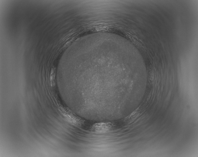 X0000051260082200507082228