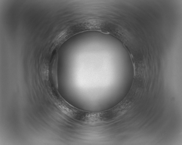 X0000051260084200507082228