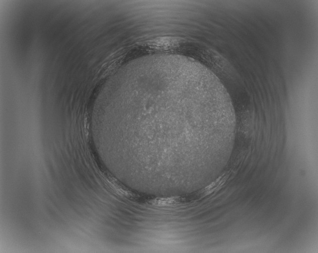 X0000051260086200507082228