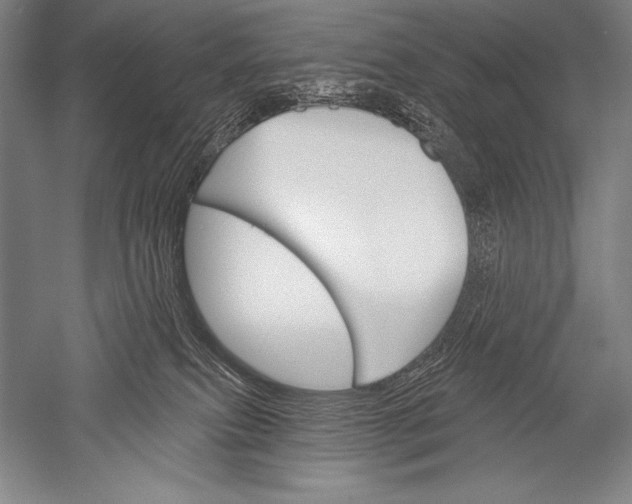 X0000051260087200507082228