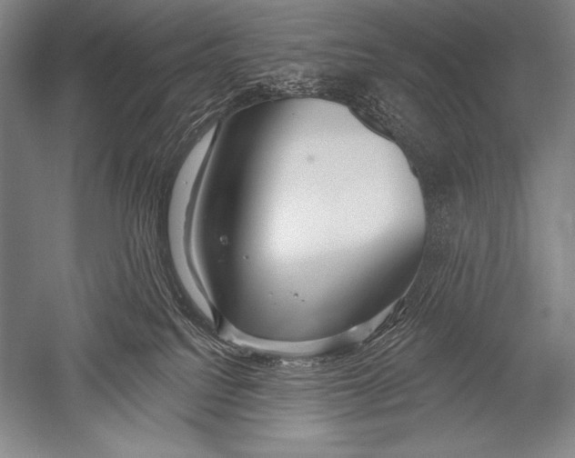 X0000051260088200507082228