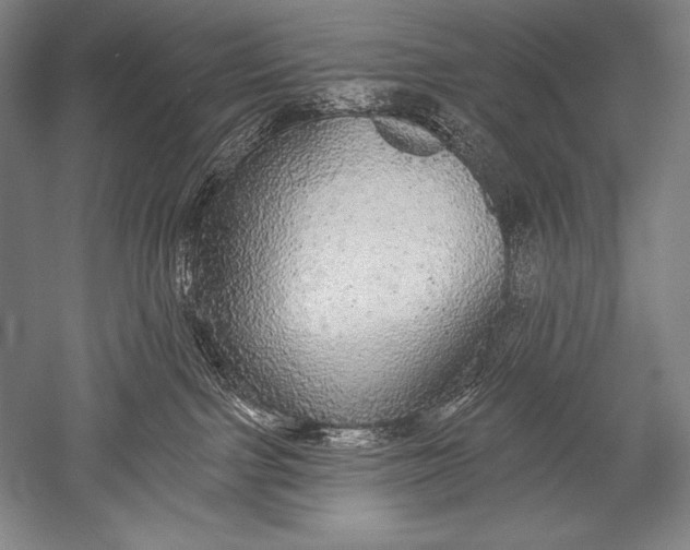 X0000051260091200507082228