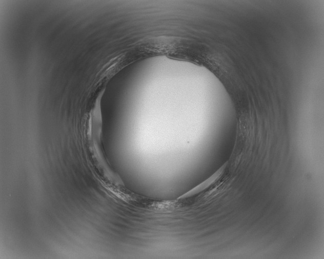 X0000051260092200507082228