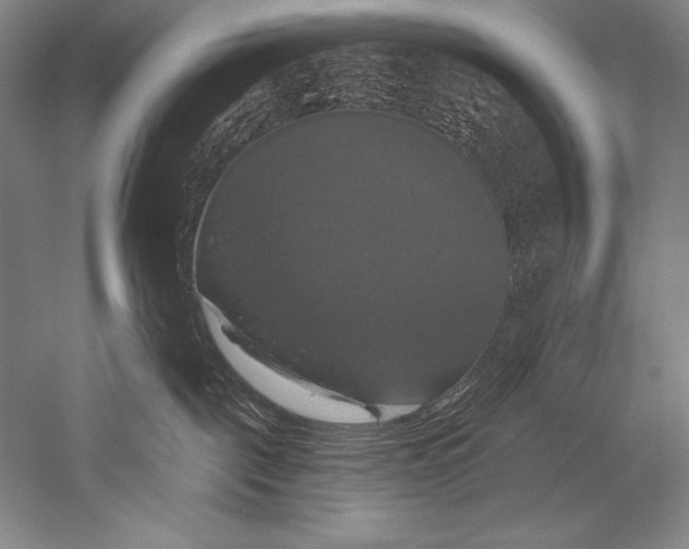 X0000051260093200507082228