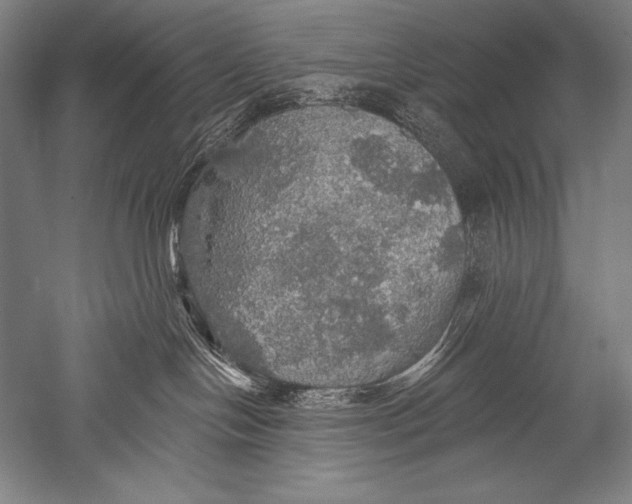 X0000051260094200507082228