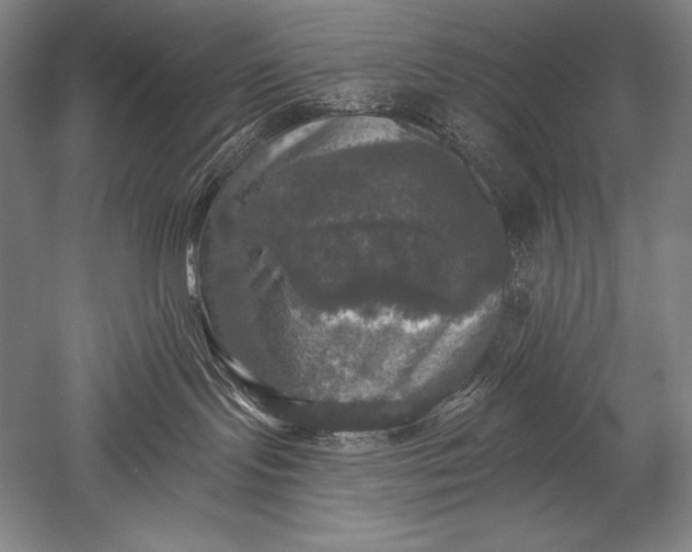 X0000051260095200507082228