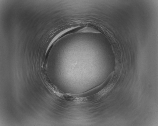 X0000051260096200507082228