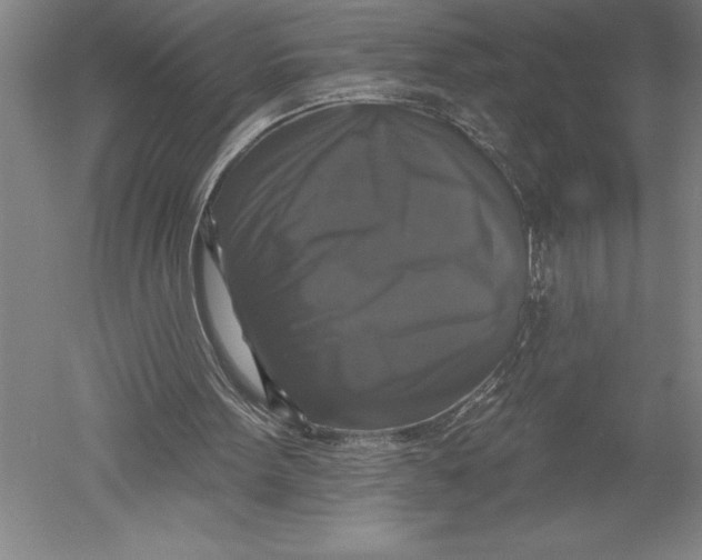 X0000051260099200507082227