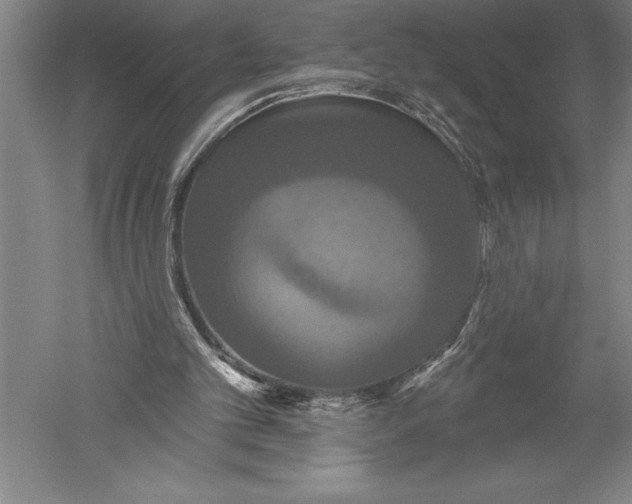 X0000051260101200507082227