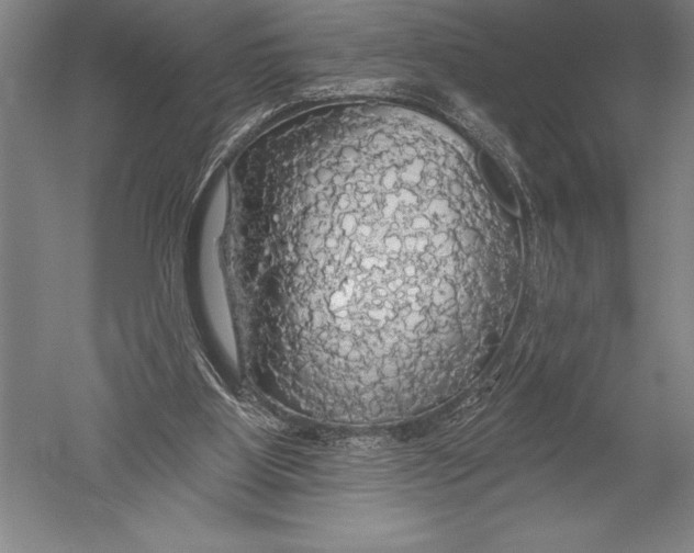 X0000051260107200507082227
