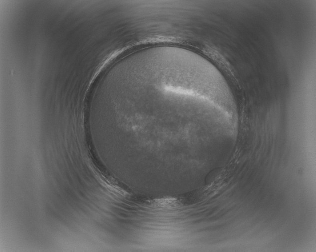 X0000051260108200507082227
