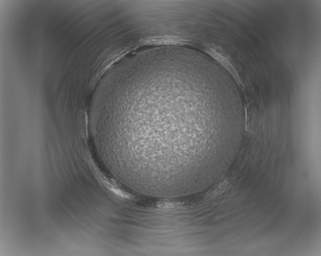 X0000051260109200507082227