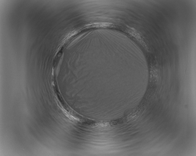 X0000051260110200507082227