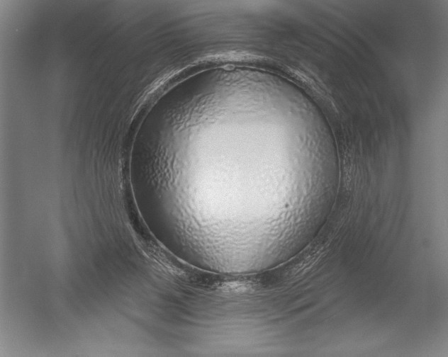 X0000051260111200507082227