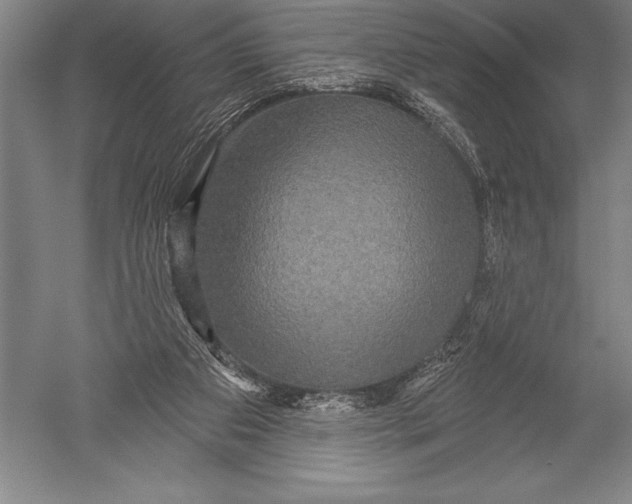 X0000051260113200507082227