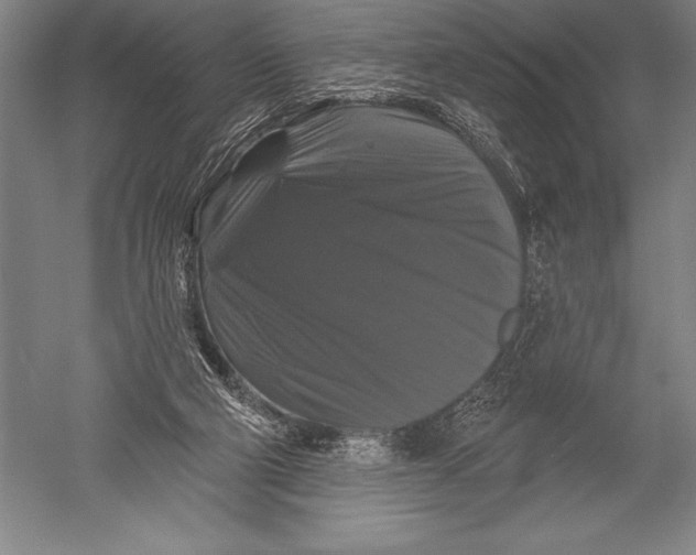 X0000051260114200507082227