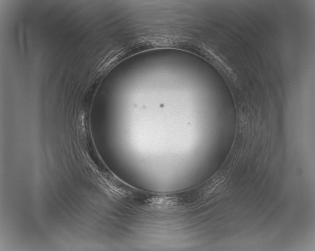 X0000051260117200507082227
