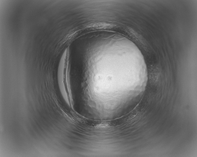 X0000051260119200507082227