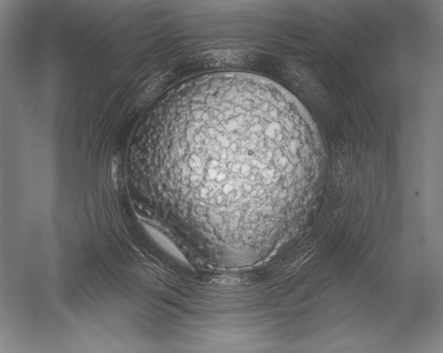 X0000051260123200507082227