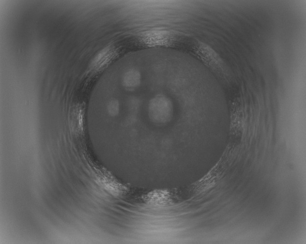 X0000051260124200507082227