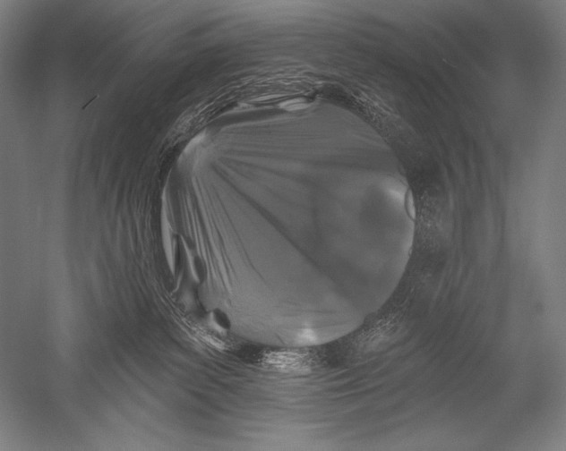 X0000051260139200507082227