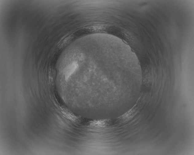 X0000051260140200507082227