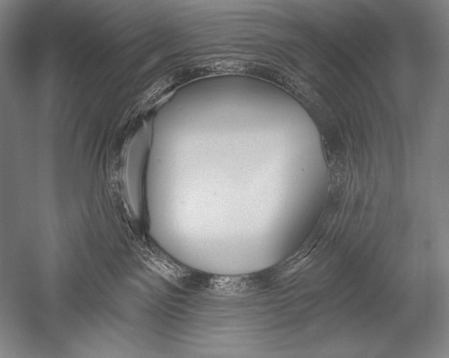 X0000051260141200507082227