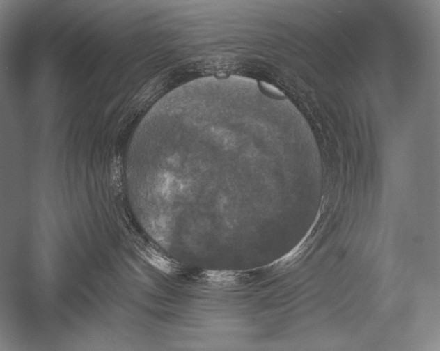 X0000051260144200507082227