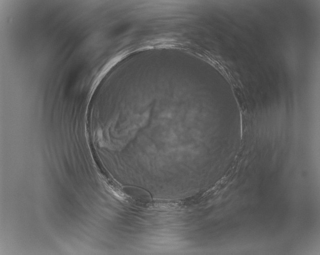 X0000051260147200507082226