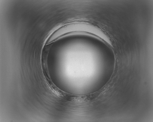 X0000051260148200507082226