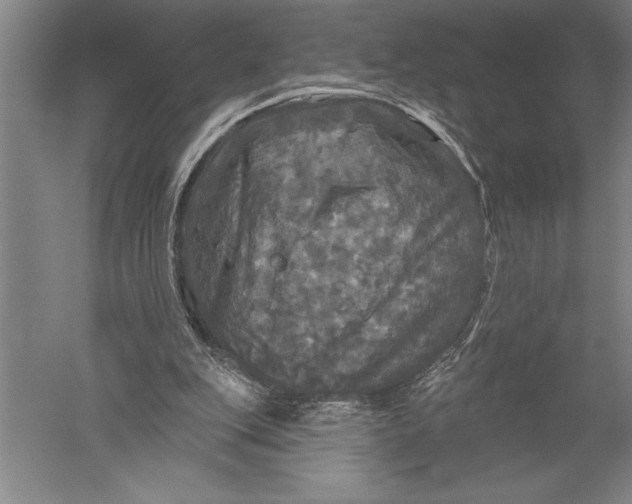 X0000051260151200507082226