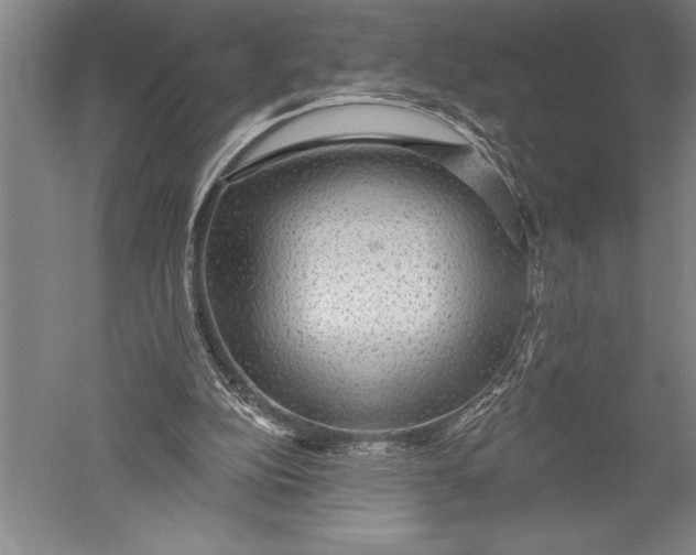 X0000051260152200507082226
