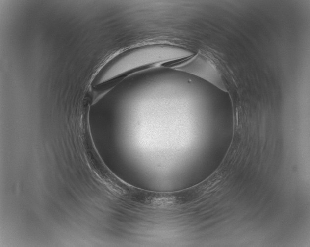 X0000051260156200507082226