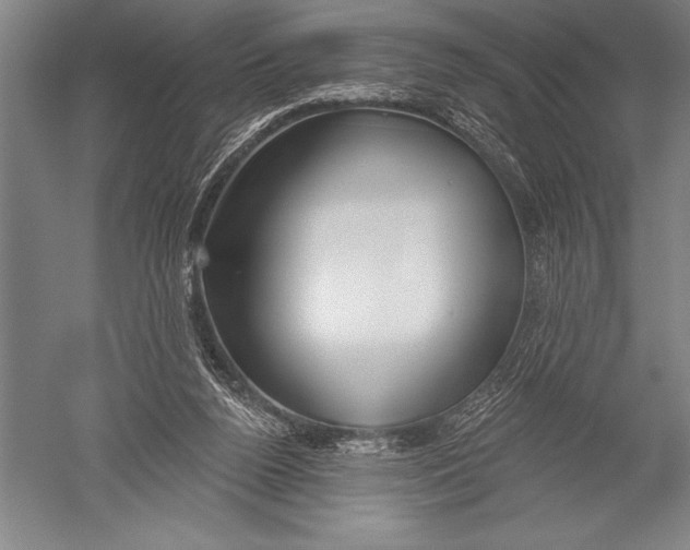 X0000051260160200507082226