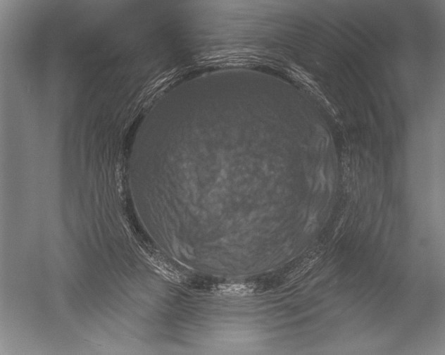 X0000051260161200507082226