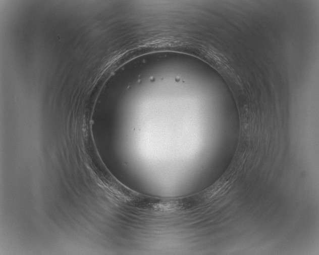 X0000051260164200507082226
