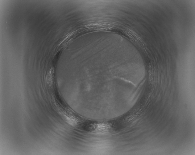 X0000051260165200507082226