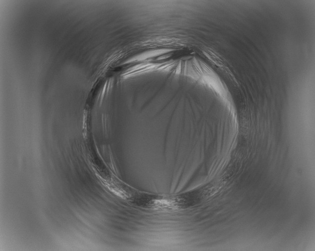 X0000051260167200507082226