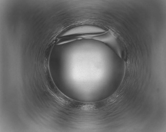 X0000051260168200507082226
